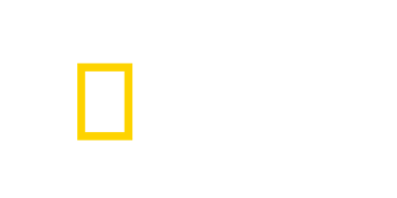 NATIONAL GEOGRAPHIC WILD HD